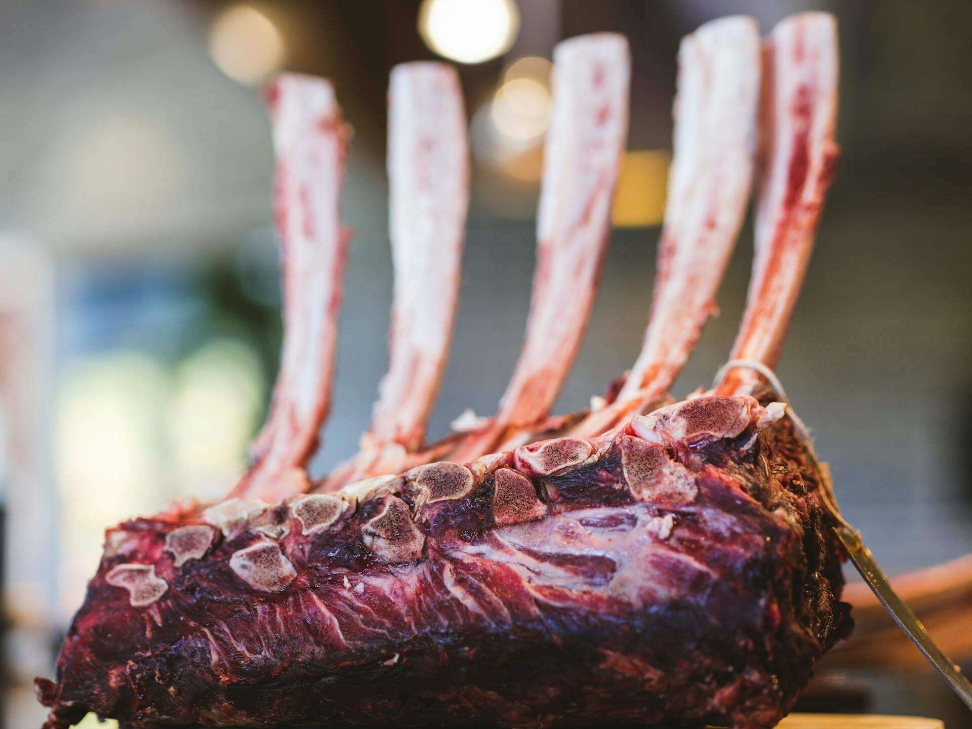 Rack of lamb with exposed bones